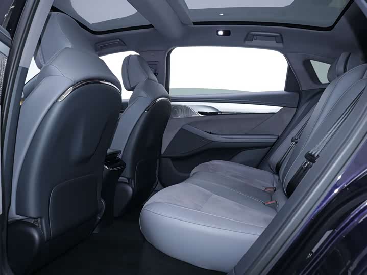 Фото 5 - Voyah Passion