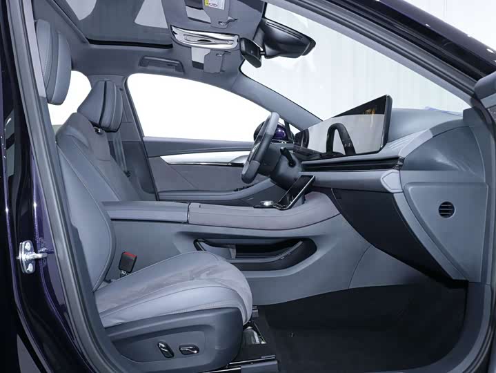 Фото 6 - Voyah Passion