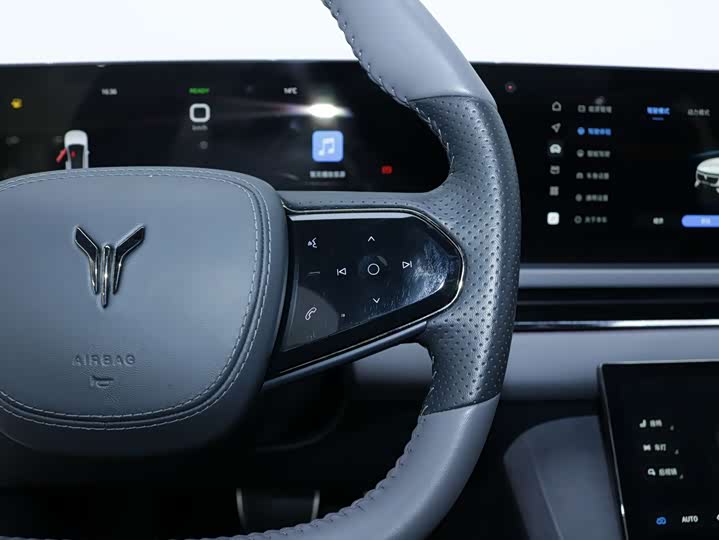 Фото 9 - Voyah Passion