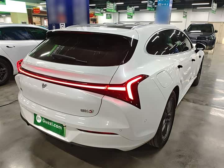 Фото 7 - Hozon S Hunting