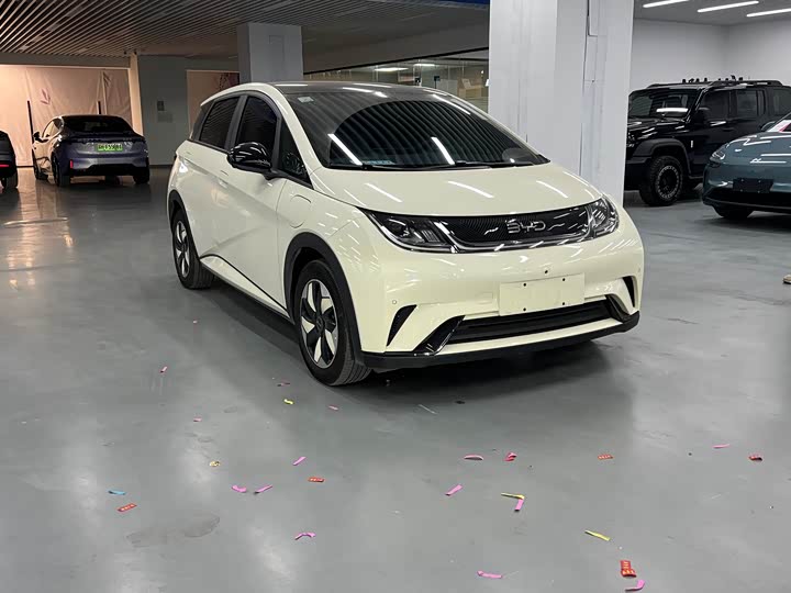 Фото 3 - BYD Dolphin