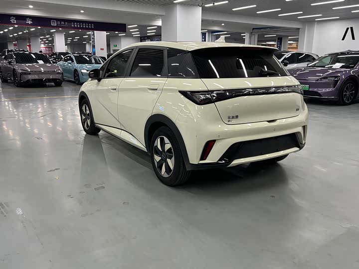 Фото 7 - BYD Dolphin