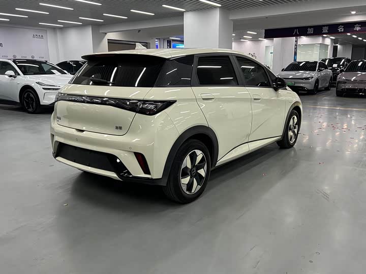 Фото 9 - BYD Dolphin