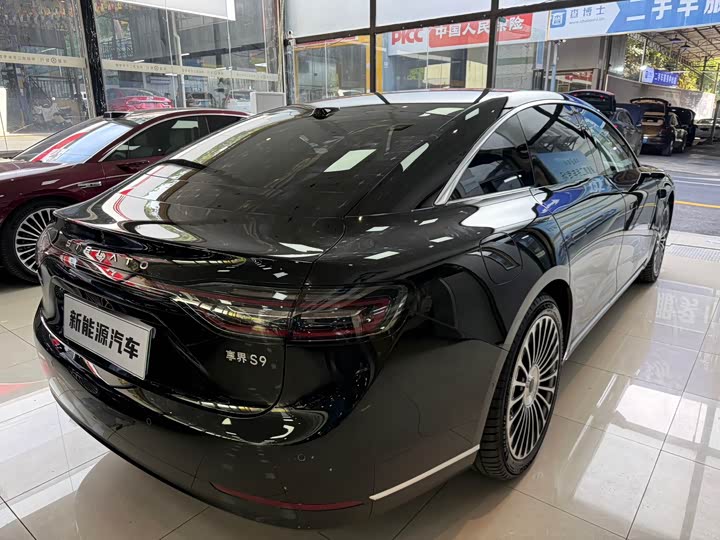 Фото 5 - Stelato S9