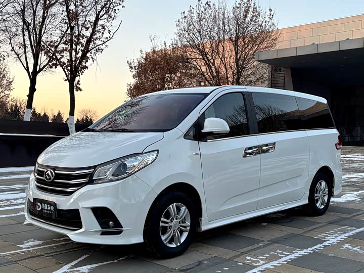 Фото 1 - Maxus G10