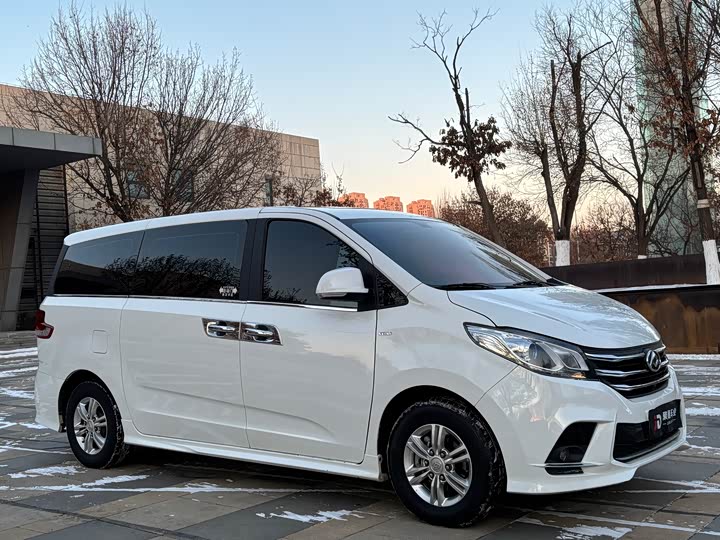 Фото 3 - Maxus G10