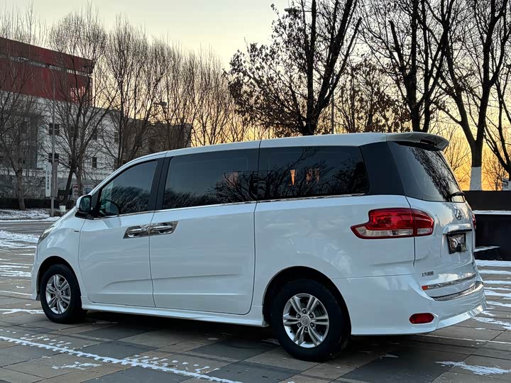 Фото 6 - Maxus G10