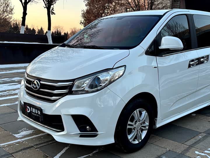 Фото 9 - Maxus G10