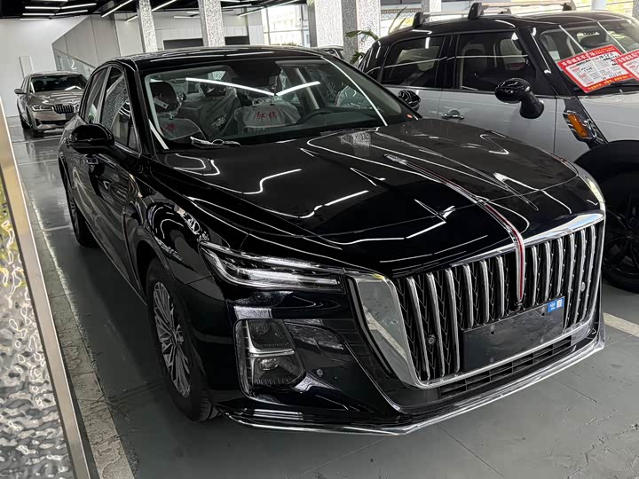 Фото 3 - Hongqi H5