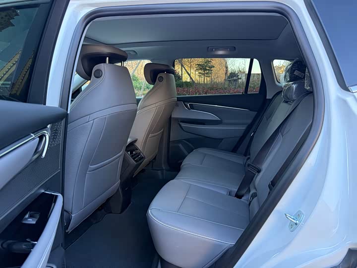 Фото 7 - Buick Electra E5