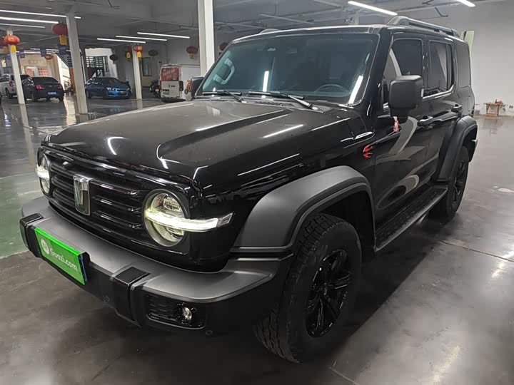 Фото 1 - Tank 300