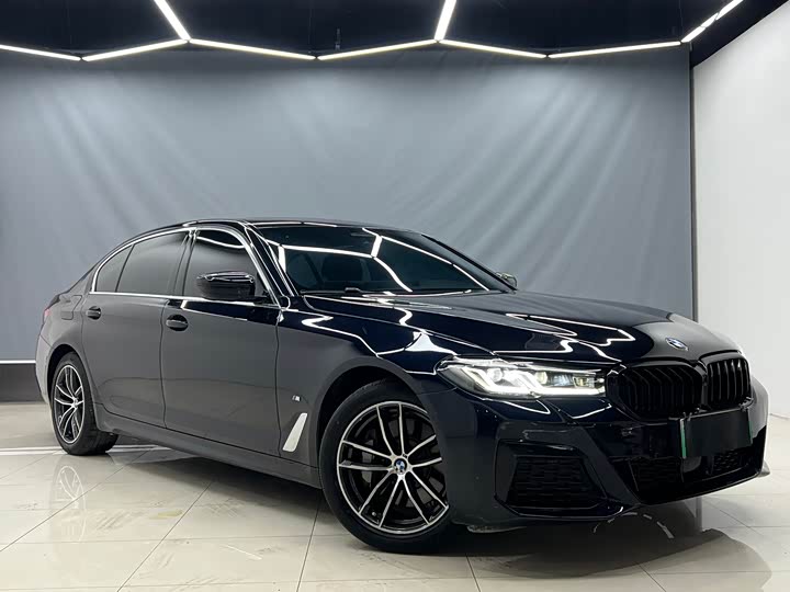 Фото 3 - BMW 5 Series Hybrid