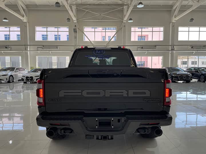 Фото 5 - Ford F-150 Raptor