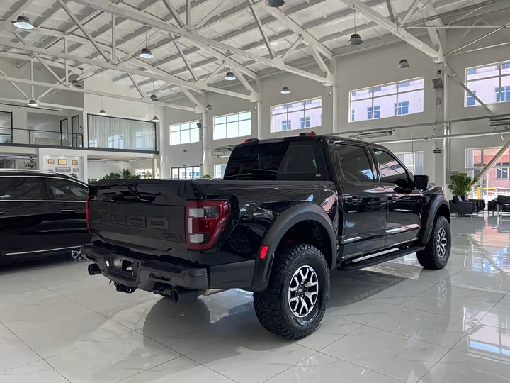 Фото 6 - Ford F-150 Raptor