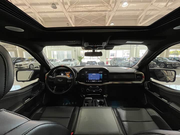 Фото 9 - Ford F-150 Raptor