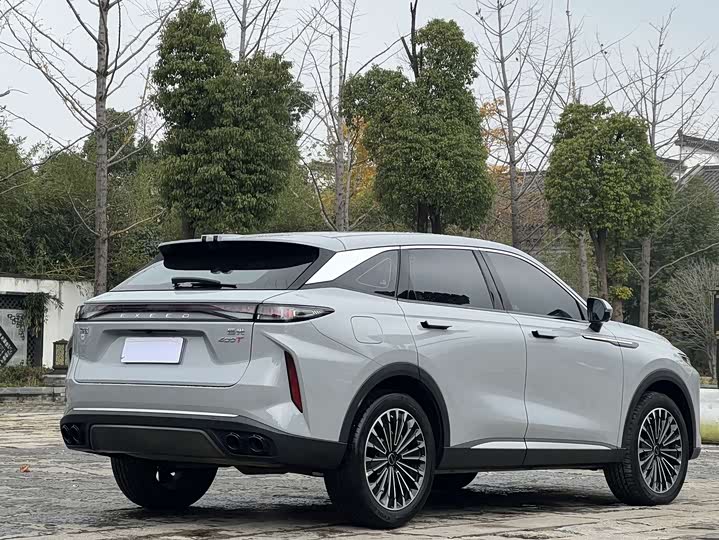 Фото 6 - Exeed RX