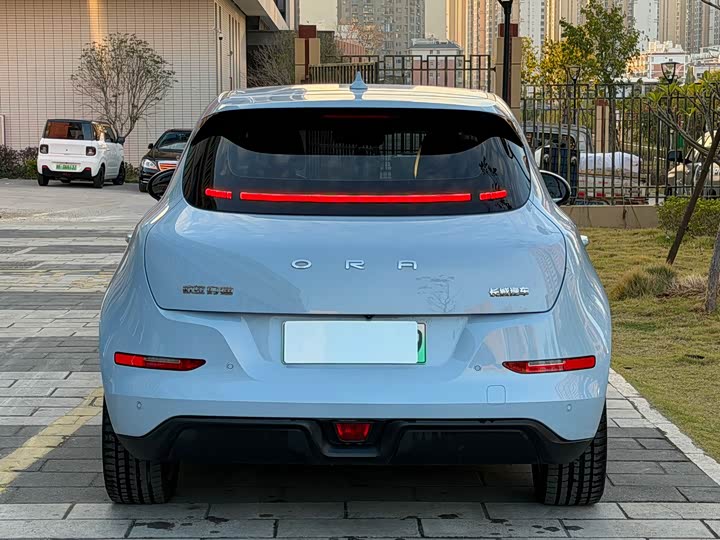 Фото 5 - Ora Good Cat (03)