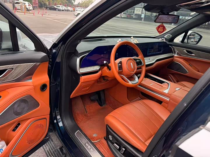 Фото 4 - Wey Lanshan