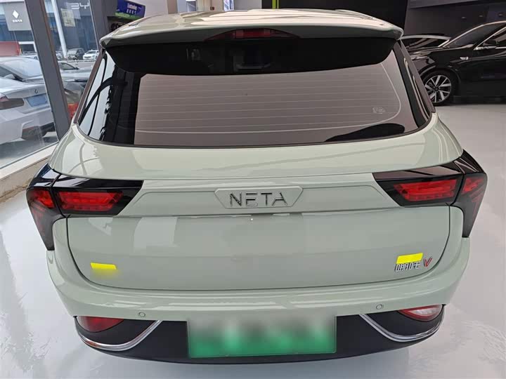 Фото 6 - Hozon V