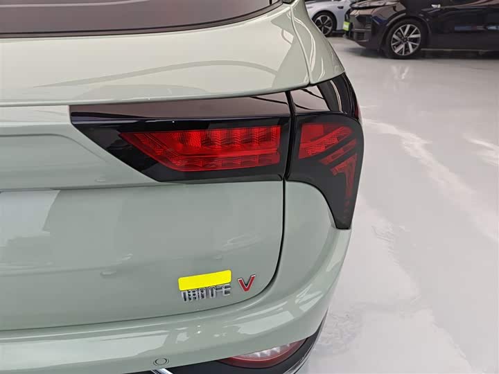 Фото 8 - Hozon V