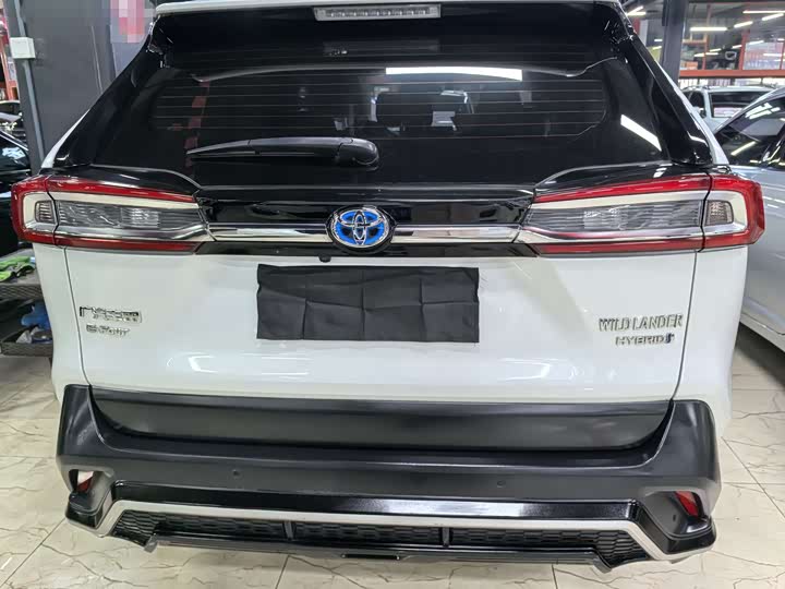 Фото 5 - Toyota Wildlander