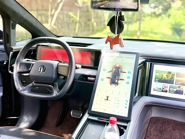 Фото 4 - HiPhi X