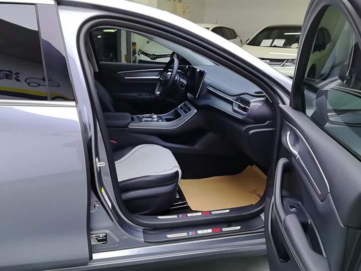 Фото 8 - BYD Destroyer 05