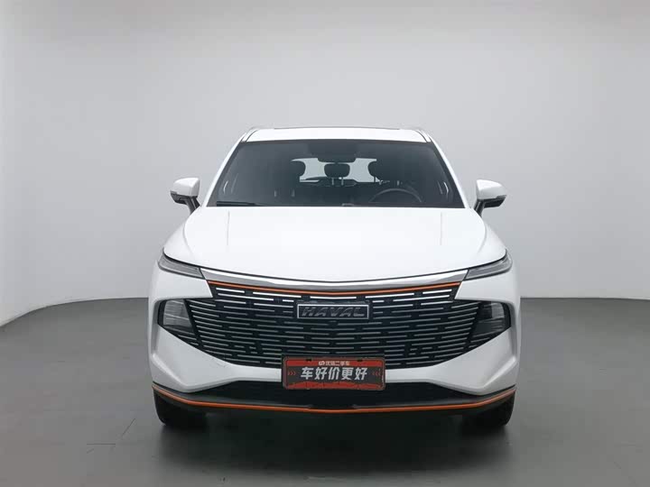 Фото 3 - Haval F7 (Monster)