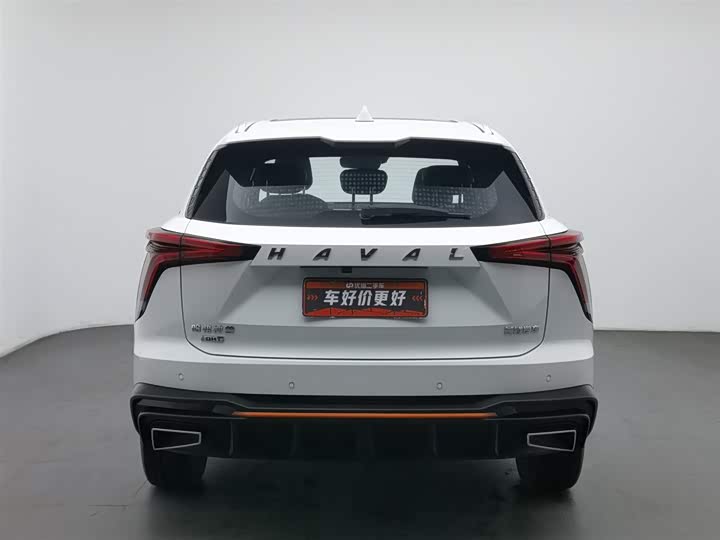Фото 4 - Haval F7 (Monster)