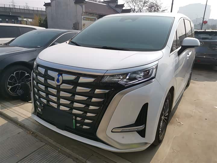 Фото 1 - Denza D9