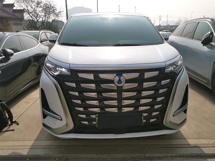 Фото 3 - Denza D9