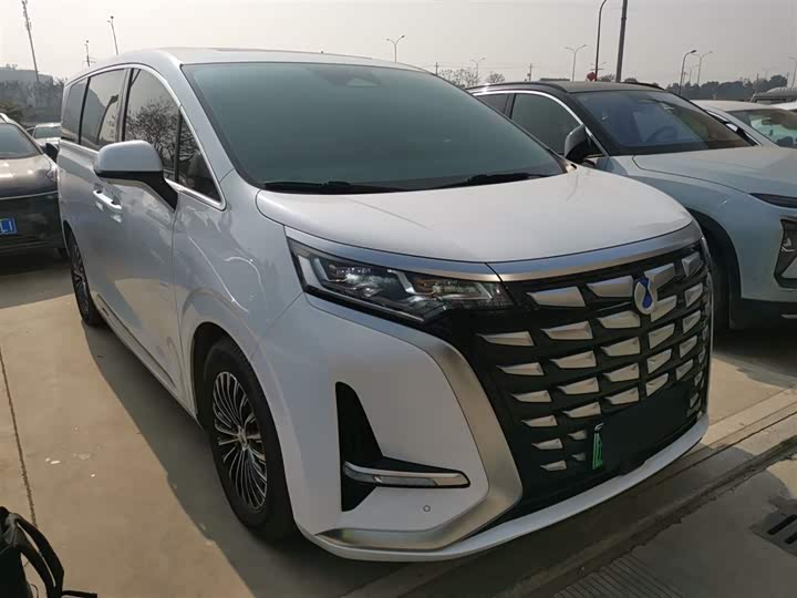 Фото 4 - Denza D9