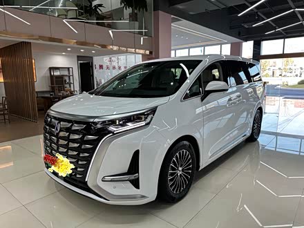 Фото 1 - Denza D9