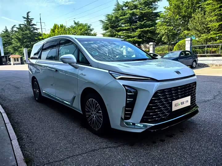 Фото 1 - Buick GL8 Hybrid