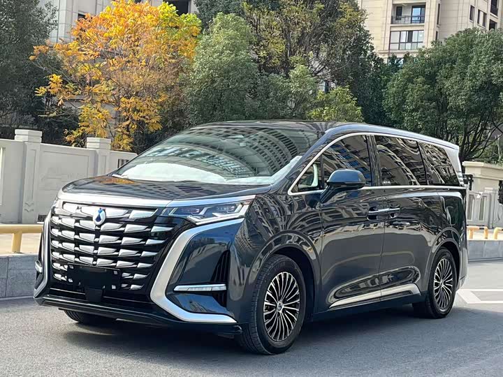 Фото 1 - Denza D9