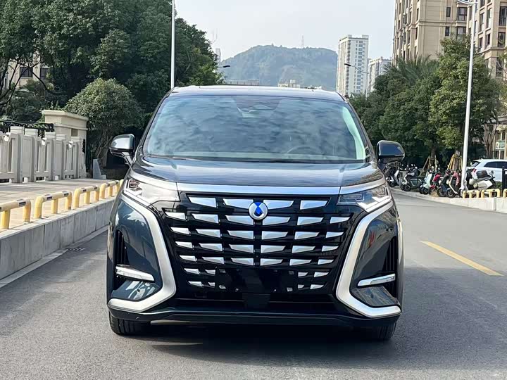 Фото 2 - Denza D9