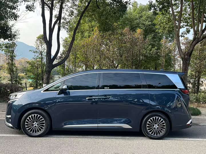 Фото 8 - Denza D9