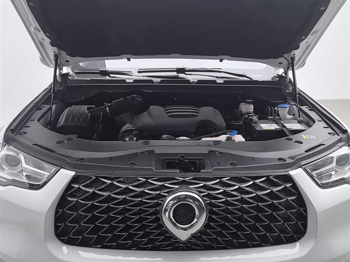 Фото 6 - Great Wall Pao