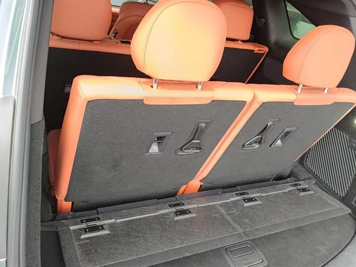 Фото 4 - BYD Tang L