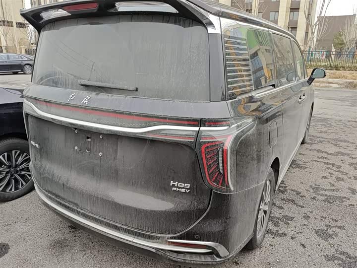 Фото 7 - Hongqi HQ9 Hybrid