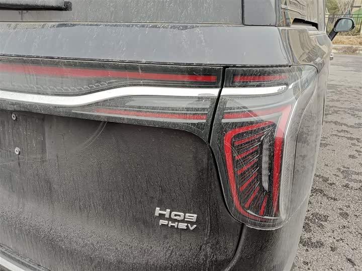 Фото 8 - Hongqi HQ9 Hybrid