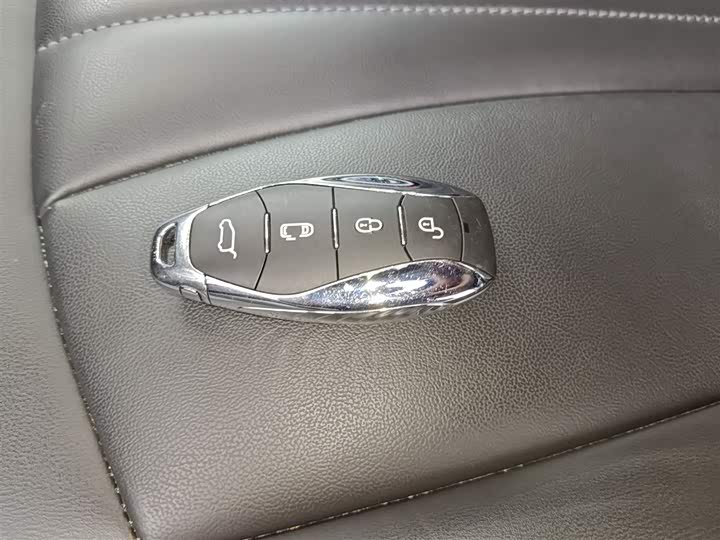 Фото 9 - Hongqi HQ9 Hybrid