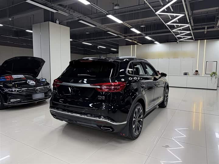 Фото 7 - Hongqi HS5