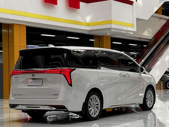 Фото 9 - Buick GL8 Century