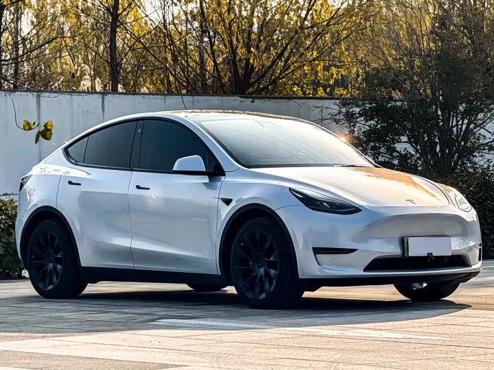 Фото 3 - Tesla Model Y