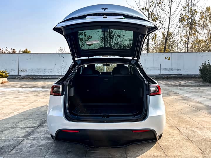 Фото 8 - Tesla Model Y