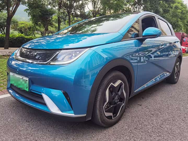 Фото 1 - BYD Dolphin