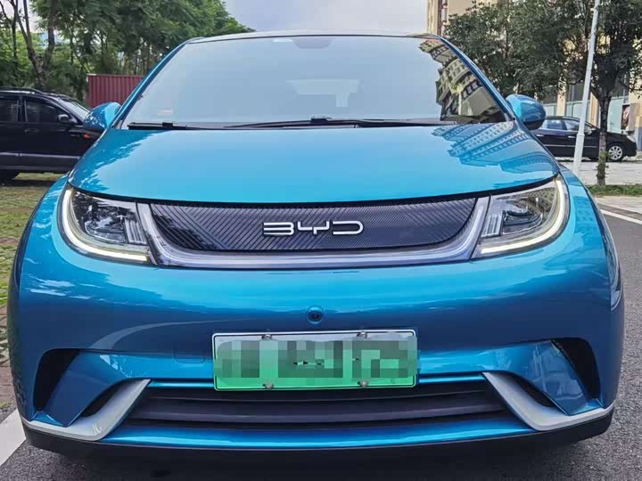 Фото 2 - BYD Dolphin