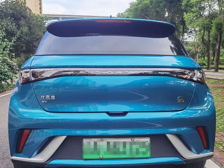 Фото 3 - BYD Dolphin