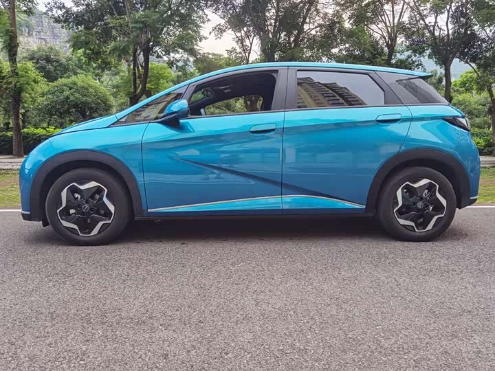 Фото 4 - BYD Dolphin